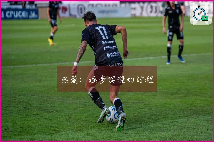 热爱：逐步实现的过程