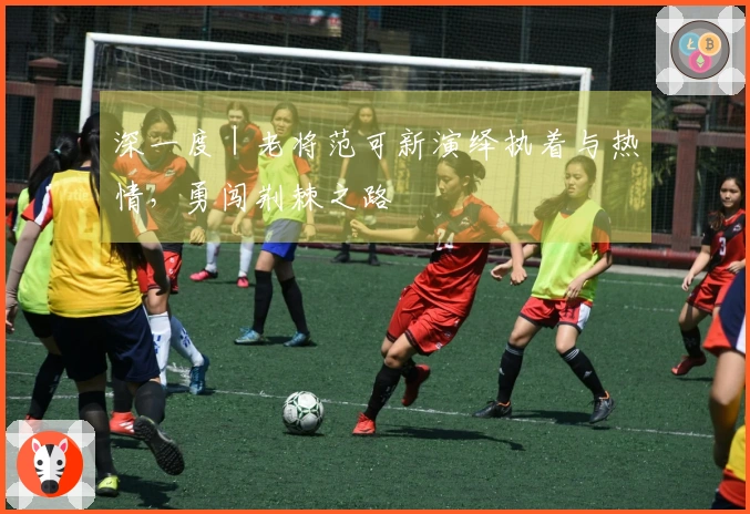 深一度｜老将范可新演绎执着与热情，勇闯荆棘之路