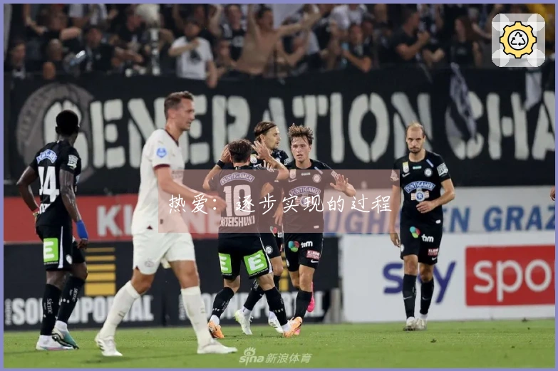 热爱：逐步实现的过程